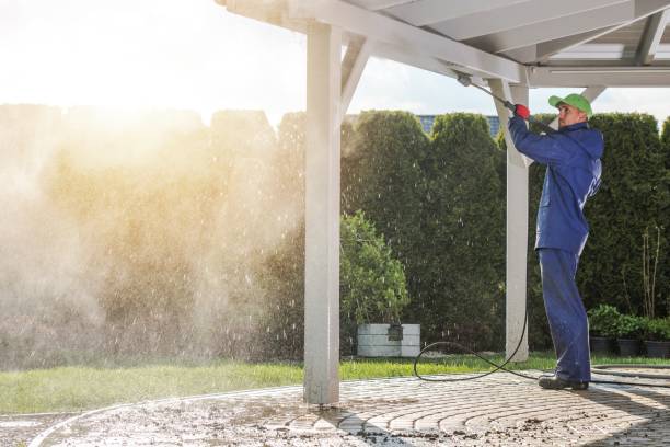 Best House Exterior Washing  in St James, MN